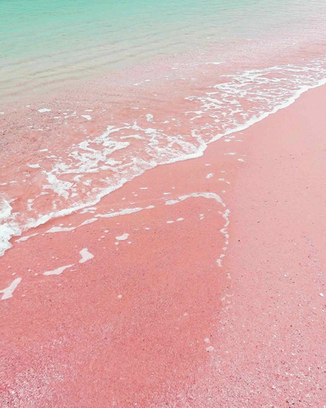 【香氣篇】Pink Sands - 粉紅沙灘