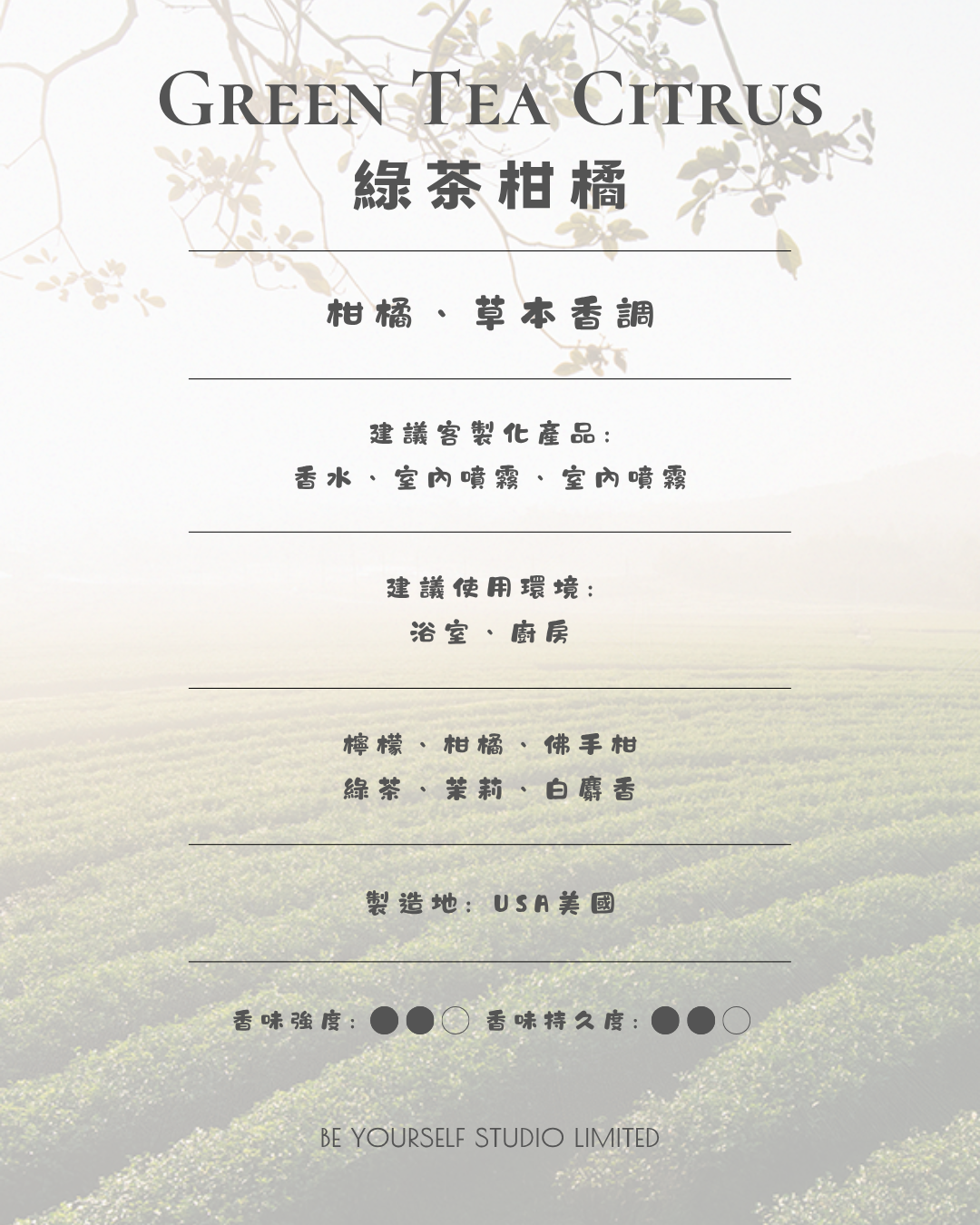【香氣篇】Green Tea Citrus - 綠茶柑橘
