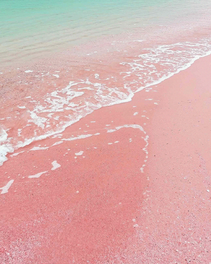 【香氣篇】Pink Sands - 粉紅沙灘