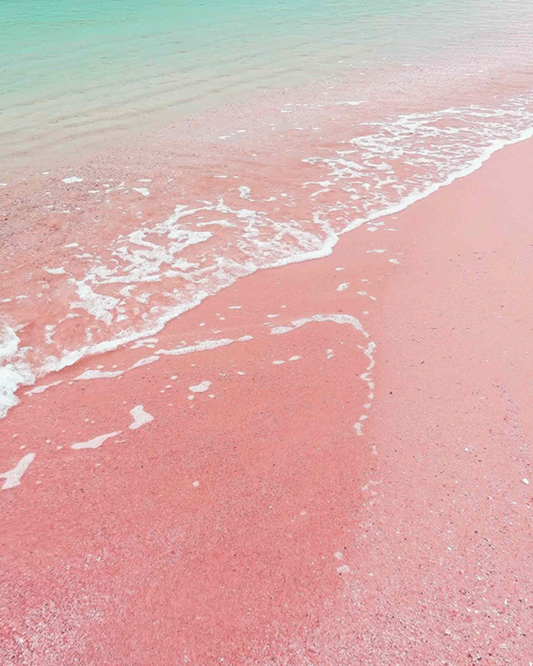 【香氣篇】Pink Sands - 粉紅沙灘