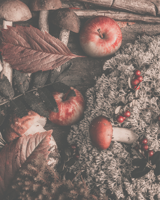 【香氣篇】Autumn Leaves & Moss - 秋葉與苔蘚
