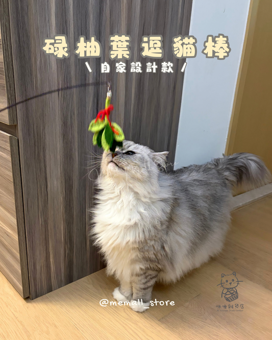 【自家設計款】碌柚葉逗貓棒