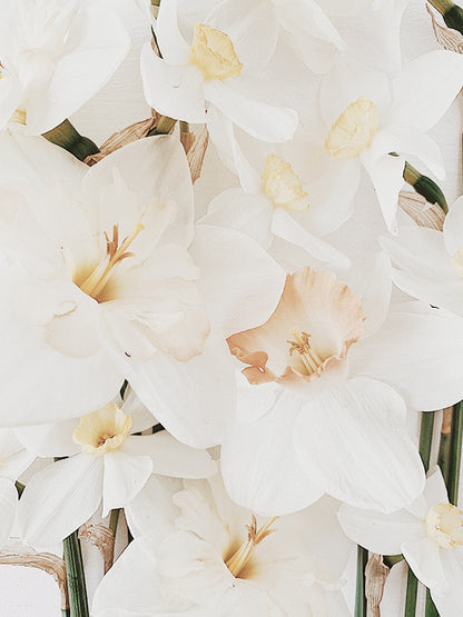 [Raw Materials Series] Candle Works - F.O. | Fragrance Oil 100mL